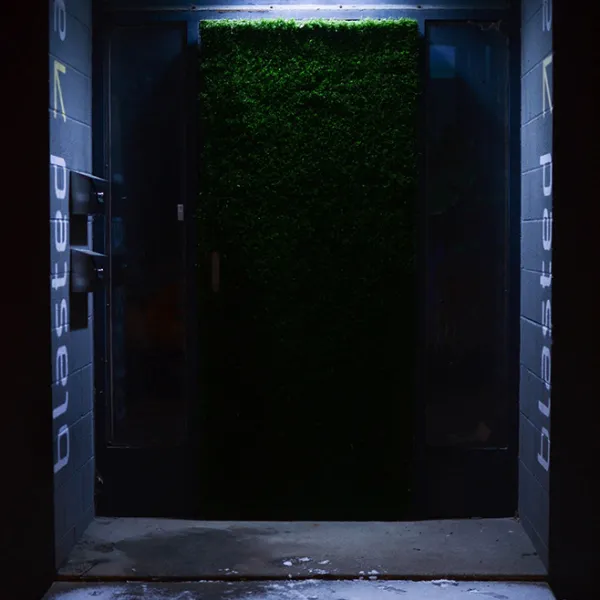 Door covered with lush green carpet (grass?) with a blue doorframe, set into walls of blue cinder blocks with the word "blasted" and arrows.
