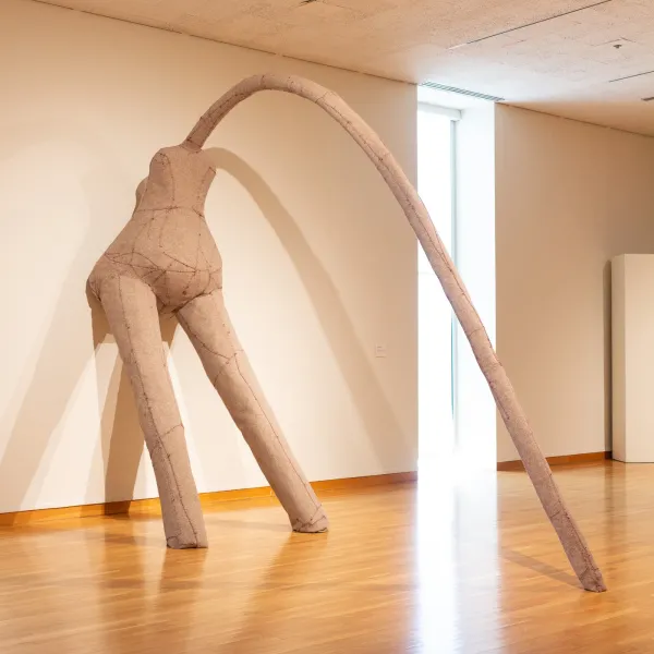 2023, wool felt, cotton thread, sewing hardware, paper, galvanized steel pipe, PVC pipe, concrete, wood, 131” x 54” x 169”