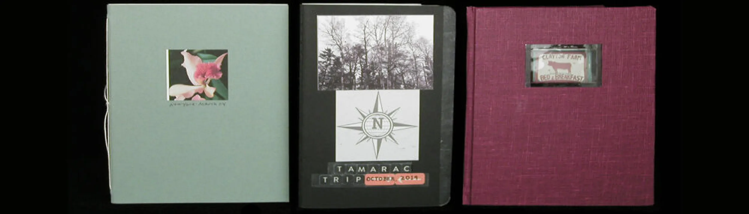 "Trip Journals:" New York, 2004; Tamarac Trip, 2019; Nova Scotia, 2000; notebooks with photographs and collage, various sizes.