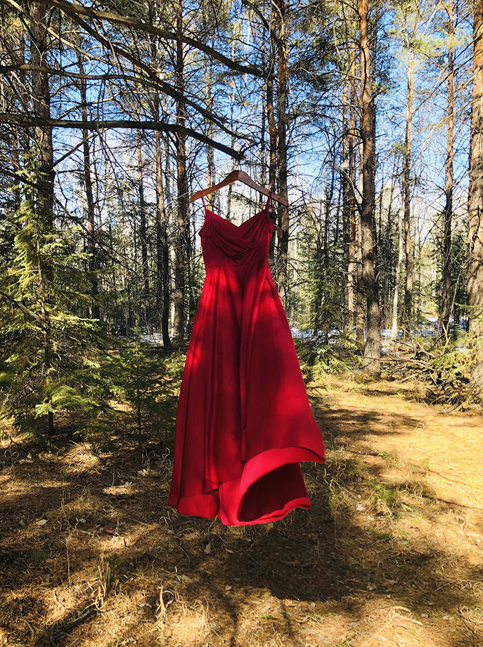 Image of the Red dress hung on tree in woods