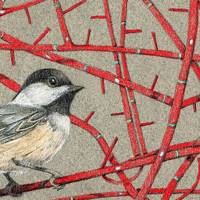 Kristin Maija Peterson, "Brave Chickadee Red Forest". A chickadee on a red leafless branch, surrounded by many other red leafless branches.