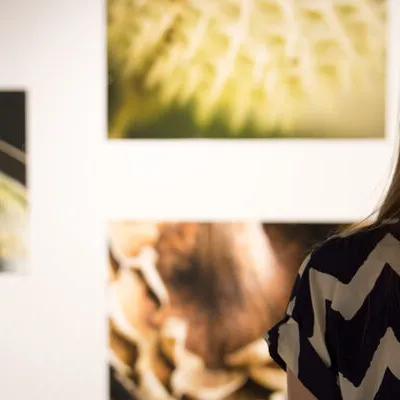 Student looking at art hung up on a white gallery wall