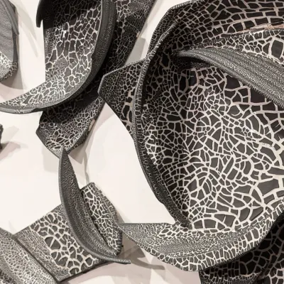 Porcelain with black crackle glaze