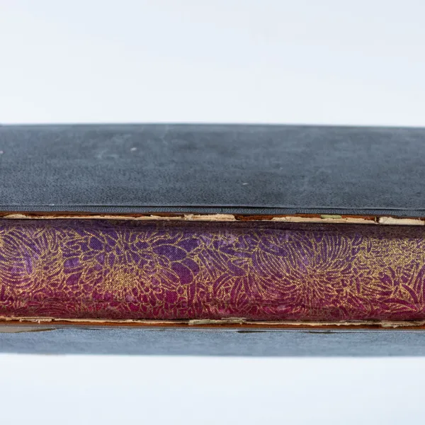 "Commondiary" Maya O’Reilly