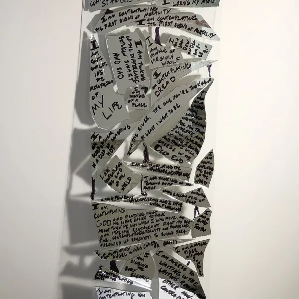 "An Exercise in Caution," permanent ink on glass, 11.5"x 36"