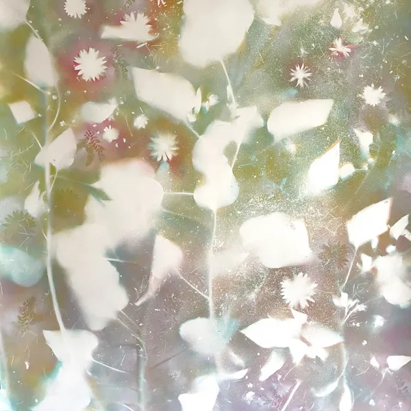 “Sunflower Auroras I,” 2021, spray paint on Entrada Moab paper with salt crystals, 55” x 73”