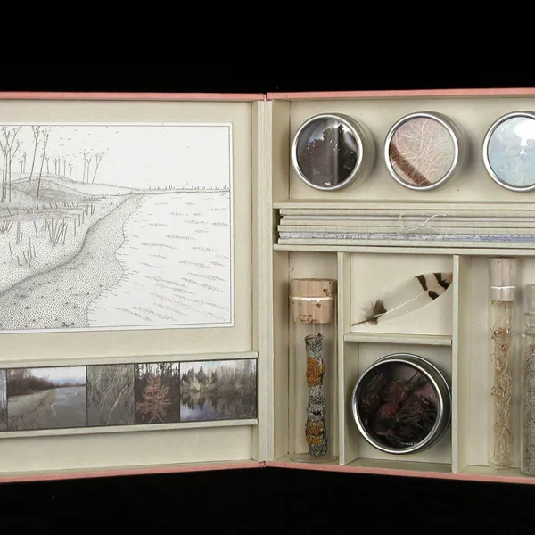 An open wooden box with a drawing and photographs mounted on one side, and specimens and artist's books displayed on the other side.