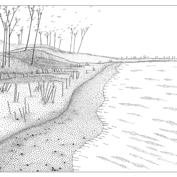 Jody Williams, Detail, “Lake of the Woods” (drawing from box), 2021, graphite, 3.5” x 4.25” Drawing of trees at a lake's edge.