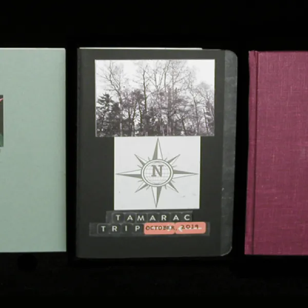 Three journals: a green one with a picture of a flower recording a trip to New York City; one with a picture of trees recording a trip to Tamarac; and a maroon one labelled "Clayton Farm Bed & Breakfast".