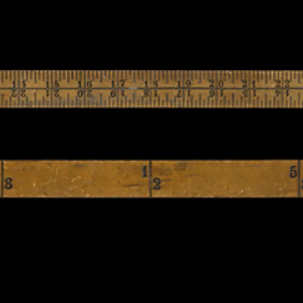 Anna's yardstick archival pigment print, 6 x 40", 2019