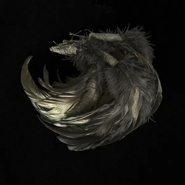 feathers archival pigment print, 8 x 10", 2016
