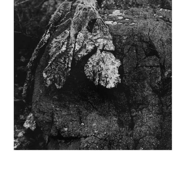 Amina Cruz "Origins," fiber gelatin print, 20" x 16”