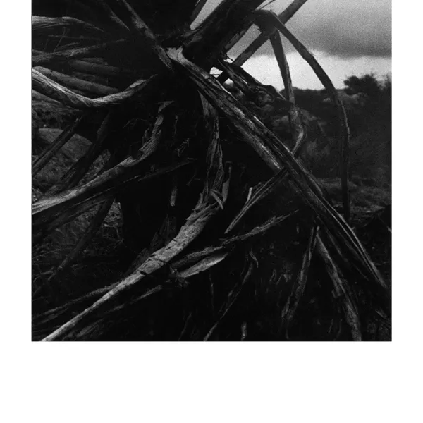 Amina Cruz "Untitled," fiber gelatin print, 17" x 11”