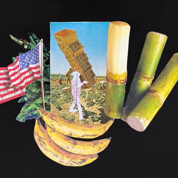 A photo of people working in a field. A replica of a Social Security card cut out in the shape of a person is carrying produce boxes. Around the photo are an American flag and greens, a banana, and stalks of a vegetable.