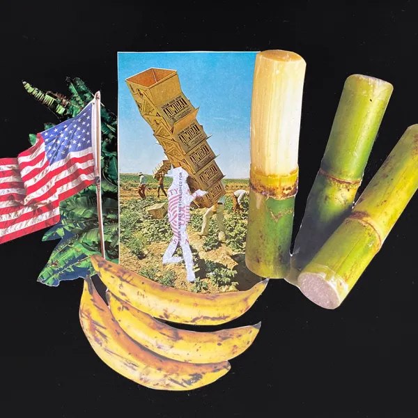 Paola de la Calle, "Essential (Study I)," Collage with Social Security Card replica, 10.5” x 12.5” A photo of people working in a field. A replica of a Social Security card cut out in the shape of a person is carrying produce boxes. Around the photo are an American flag and greens, a banana, and stalks of a vegetable.