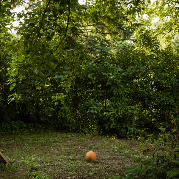 Basketball 2014, inkjet print, 21 x 14"