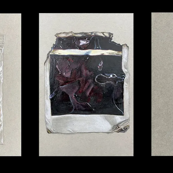 Three drawings: 1) a clip of red/maroon hair in a plastic bag that's tacked to a background and has an A on it (exhibit A?); 2) a sealed jar with a purple fish(?) in it against a bleck background (water?); and 3) a drawing of a tooth.