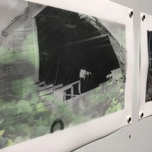 Ann Blatzheim Rebirth (detail), photograph, 8.5 x 11"