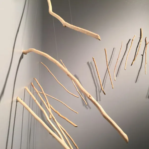 Untitled (detail), driftwood/filament, 36 x 192"