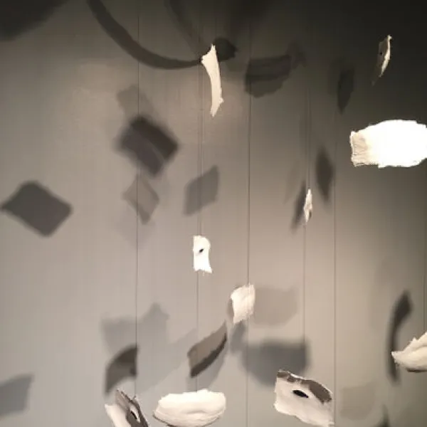 Kris Frykman Untitled (detail), driftwood/filament, 36 x 192"