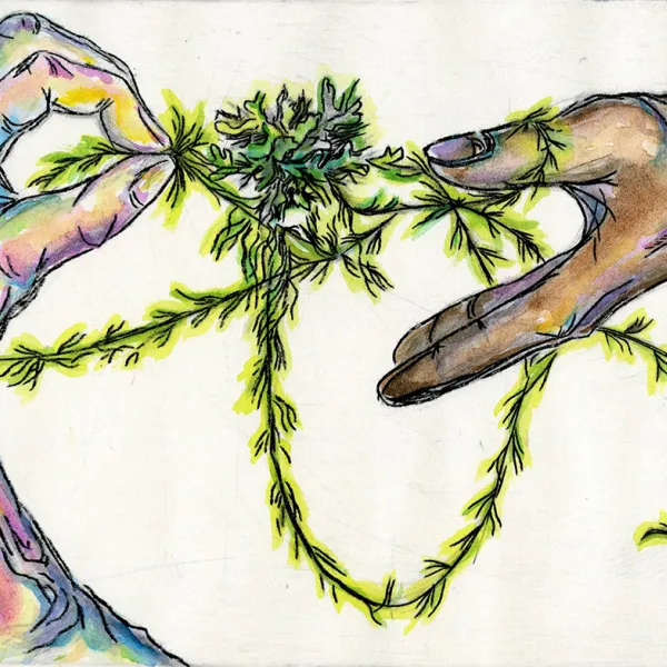 Elizabeth Jacobson "Subliminal Haptics: Intersections," engraving with hand coloring, 8” x 12”