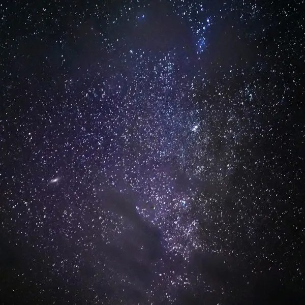 Meagan Marsh Pine "Stargazing #1," inkjet print, 20” x 16”