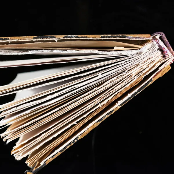 "Commondiary" Maya O’Reilly