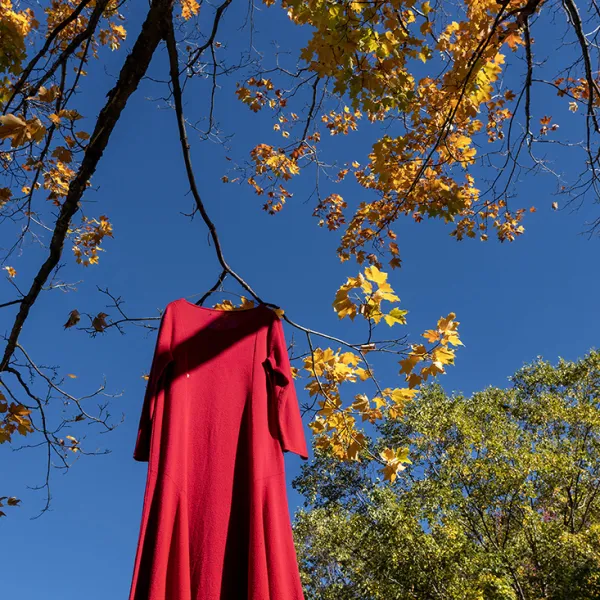 Red dress hung on tree on campus