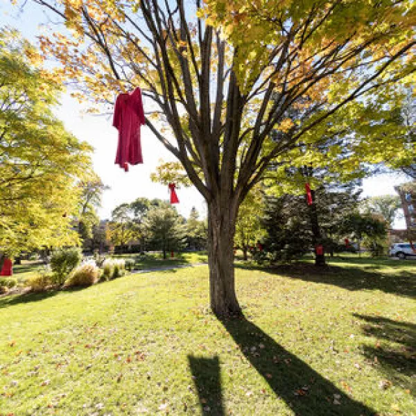Red dress hung on tree on campus
