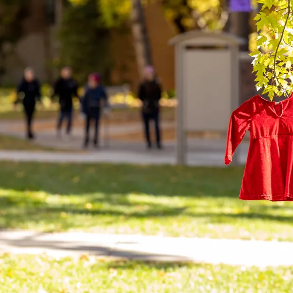 Red childs dress hung on tree on campus