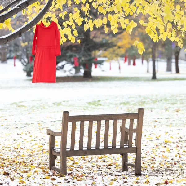 Red dress hung on tree on campus
