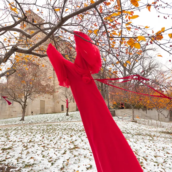 Red dress hung on tree on campus