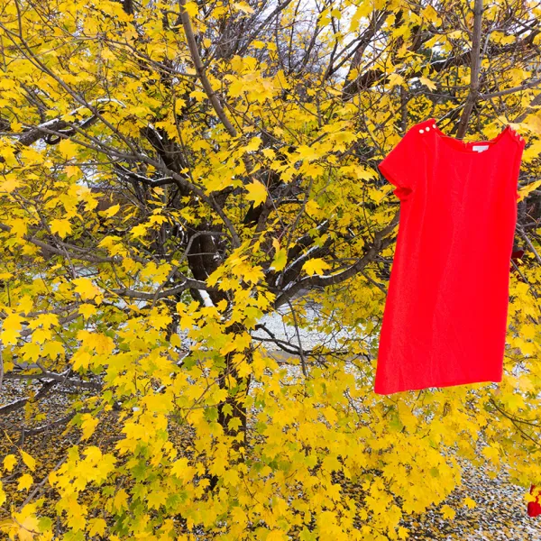 Red dress hung on tree on campus