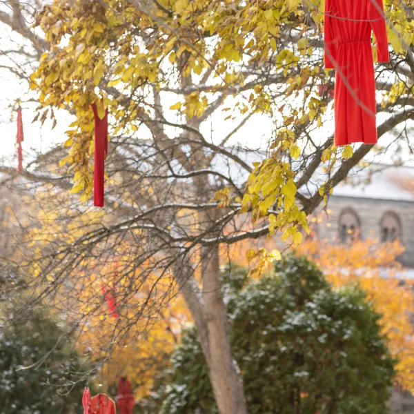 Red dress hung on tree on campus