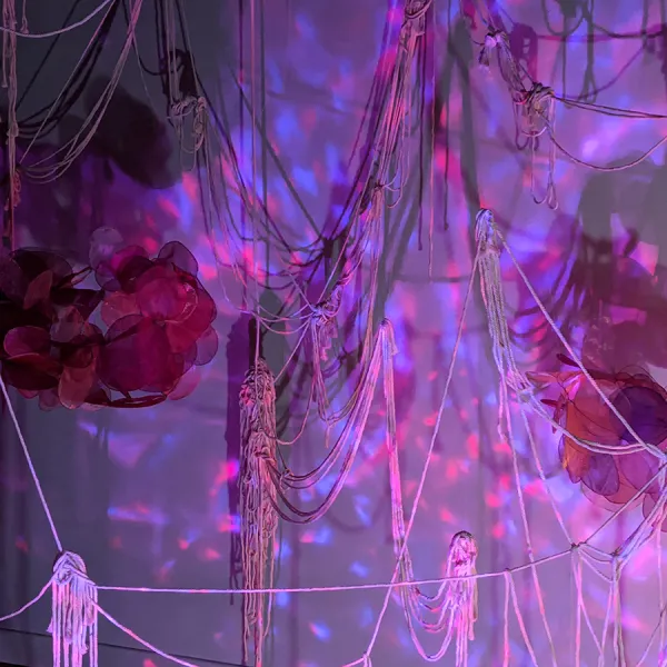 The light is violet. Rope is strung haphazardly with fringed knots in some places. There are some red clumps of objects shaped like eucalyptus leaves. 