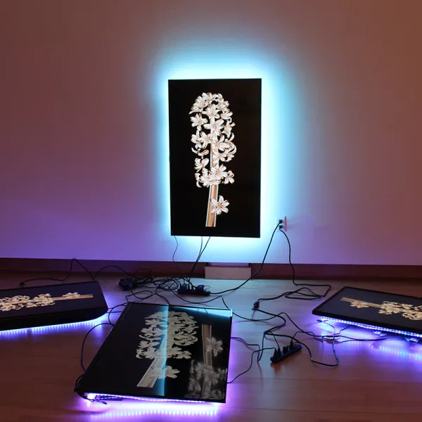 Dustin Steuck "Hyacintha," four monitors, moving-image, media player, HDMI Splitter, power strips, extension cords, LED lights, dimensions vary