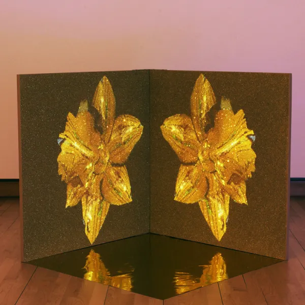 "Narcissa," single-channel projection, moving-image, glitter, gold mylar, wood, paint, 34" x 34" x 34"