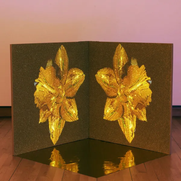 Dustin Steuck "Narcissa," single-channel projection, moving-image, glitter, gold mylar, wood, paint, 34" x 34" x 34"