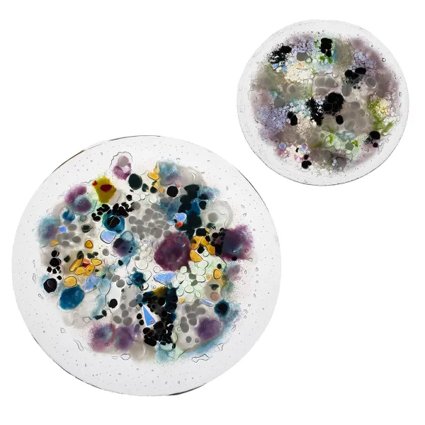 Emma Wood "Fungal Petri," glass fusing, 5" x 5"