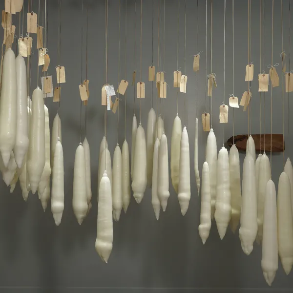 The Art of Losing Isn’t Hard To Master 2015, wax on string