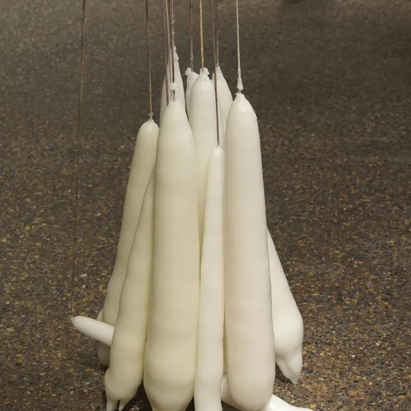 2015, wax on string