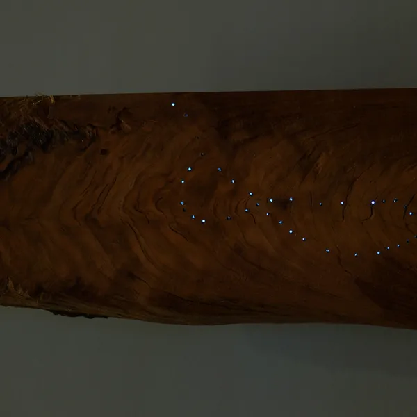2015, cherry wood, fiber optics, copper For Eliza