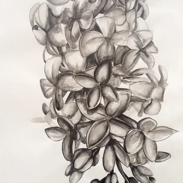 Sarah Borgen, water soluble graphite, 36 x 24"