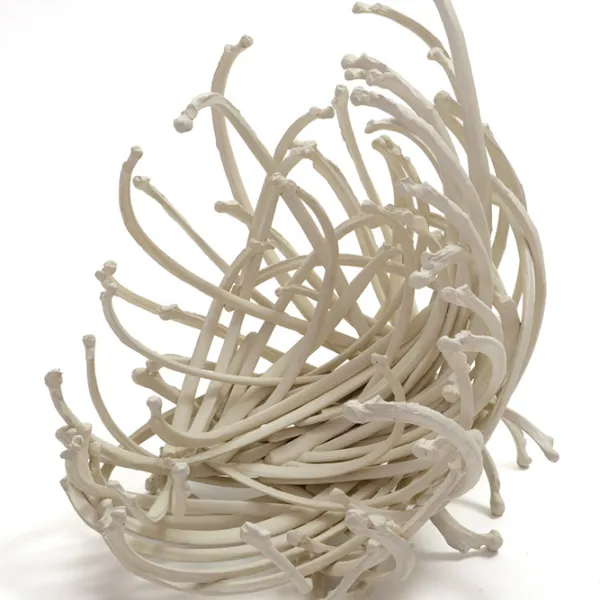 Judy Onofrio, Reitz Basket, 2014, bones, cast bones, acrylic paint, photo credit: Rik Sferra Basket-shaped sculpture made of long narrow curved bones.