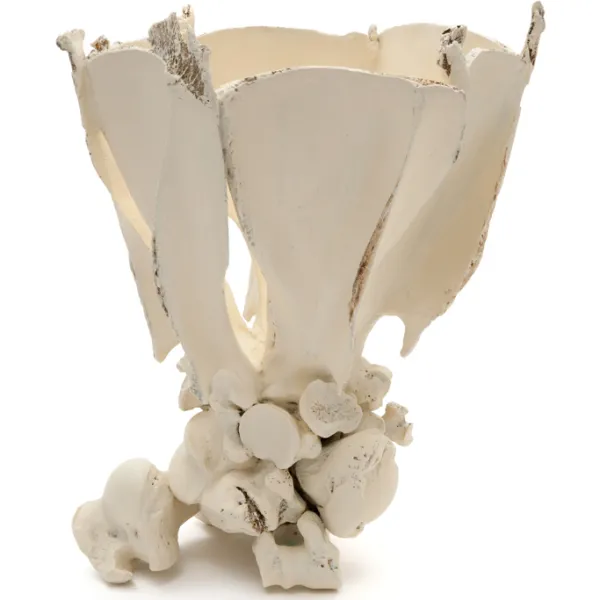 Judy Onofrio, Vessel, 2011, bones, cast bones, acrylic paint, photo credit: Rik Sferra Sculpture shaped like a vase.