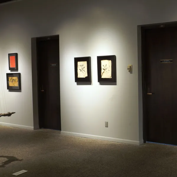 Overview of East Gallery