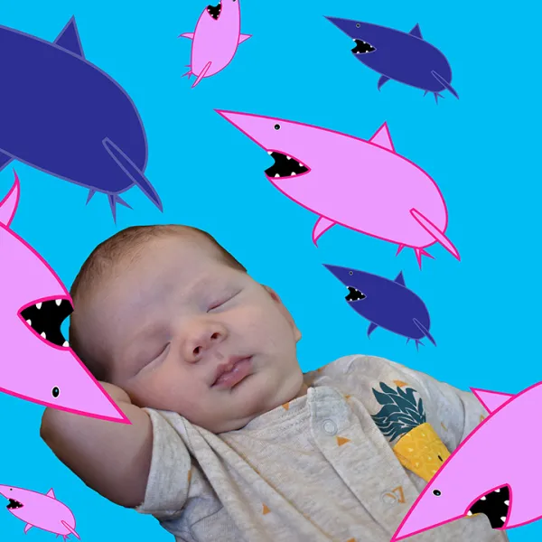 Maria Pang Everett Project: Sharks, 2019 | inkjet illustration/photograph, 13x19", $75 - edition of 10