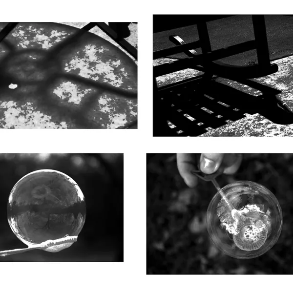 Maria Pang Light or Reflection 1, 2019 | inkjet photograph, 8x10", $20
