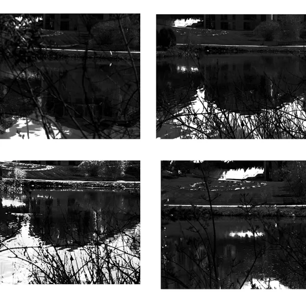 Maria Pang Light or Reflection 2, 2019 | inkjet photograph, 8x10", $20