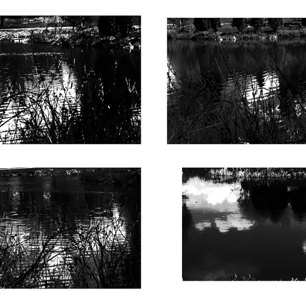Maria Pang Light or Reflection 3, 2019 | inkjet photograph, 8x10", $20
